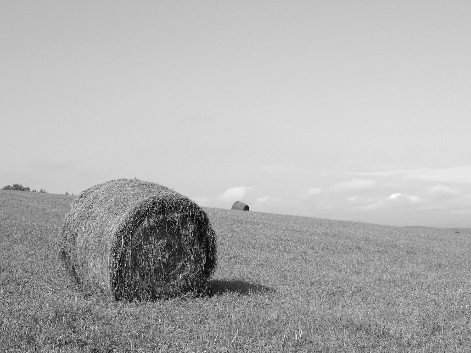 Hay Bale
